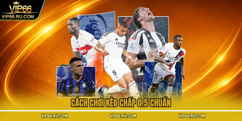 Cách chơi kèo chấp 0.5 chuẩn