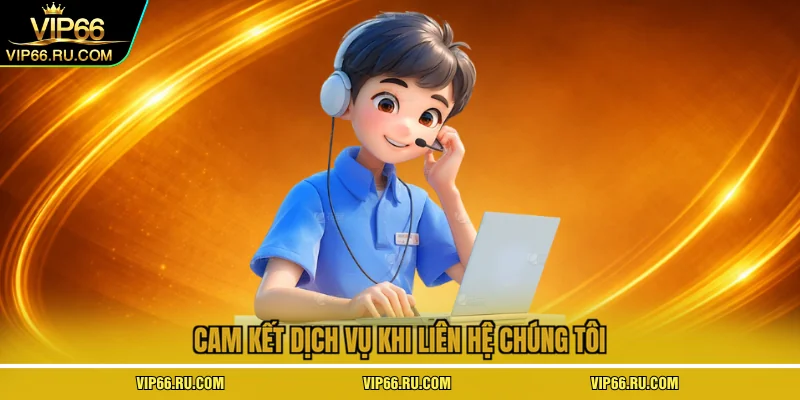  Cam kết dịch vụ khi liên hệ chúng tôi 