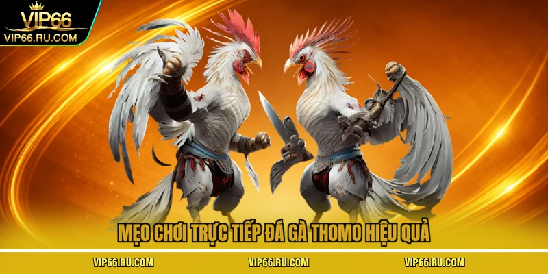 Mẹo chơi trực tiếp đá gà thomo hiệu quả