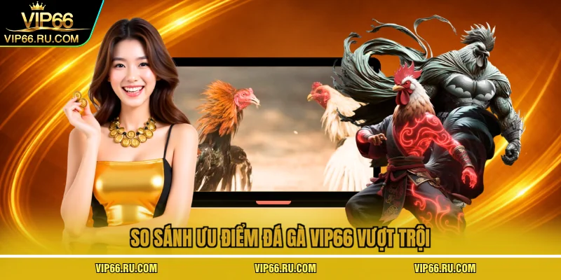  So sánh ưu điểm đá gà VIP66 vượt trội
